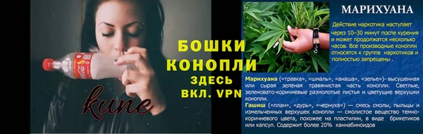 мдпв Гусев