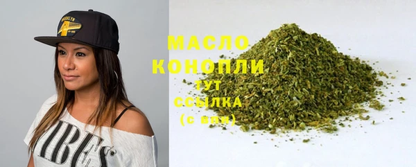 мдпв Гусев