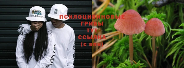 мефедрон мука Гусь-Хрустальный