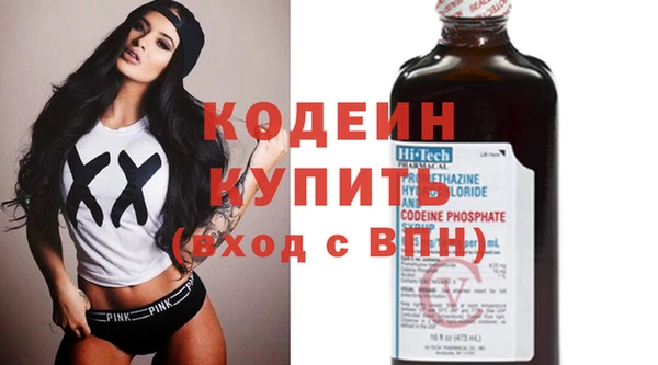 прущие грибы Гусиноозёрск
