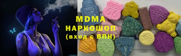 мдпв Гусев