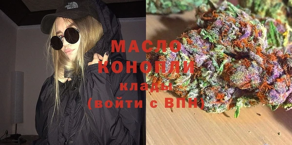 мдпв Гусев