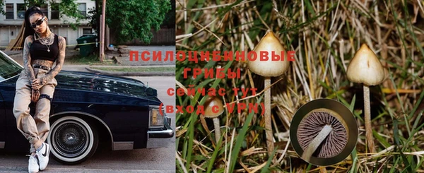 мдпв Гусев