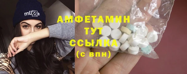 прущие грибы Гусиноозёрск