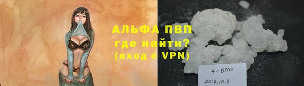 мдпв Гусев