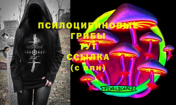 прущие грибы Гусиноозёрск