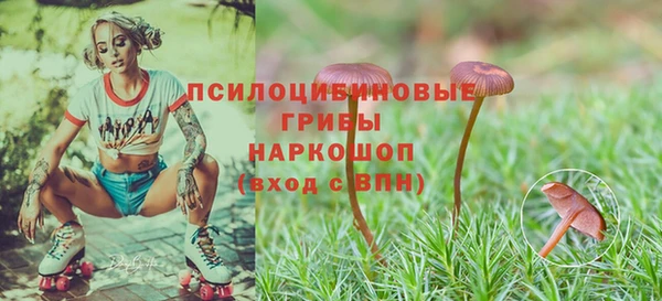 мдпв Гусев