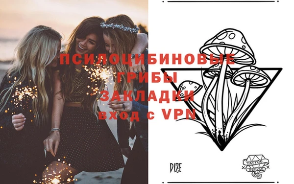 хмурый Дмитровск