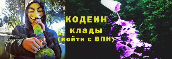 прущие грибы Гусиноозёрск