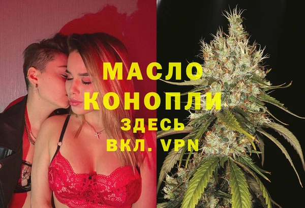 мдпв Гусев