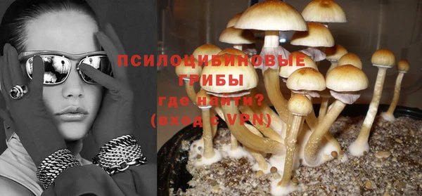 меф Дмитров