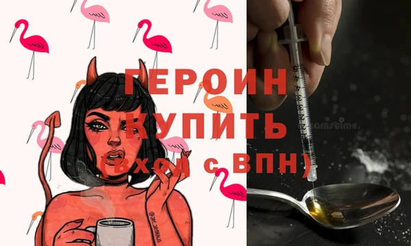 прущие грибы Гусиноозёрск