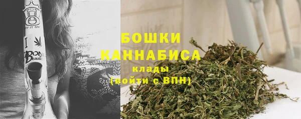 прущие грибы Гусиноозёрск