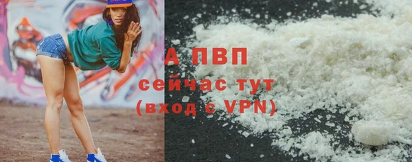 гашик Дмитриев