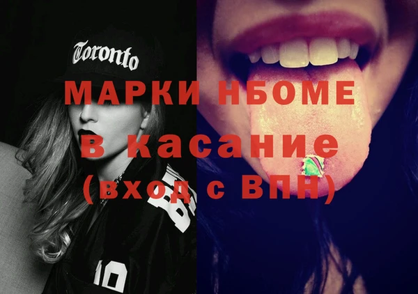 прущие грибы Гусиноозёрск