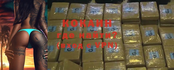 мдпв Гусев