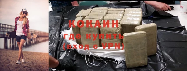 мдпв Гусев
